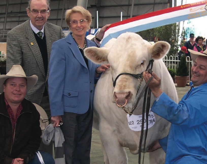 AISE23E Airlie Epicentre Supreme Interbreed Exhibit & Junior and Grand Champion Bull