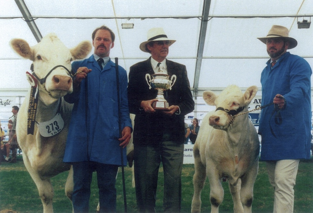 AISP43E Airlie Polled Pussycat Champion