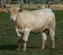Airlie A764E