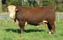Talis Front Runner