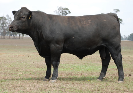Talis Prime Mover