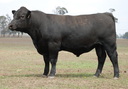 Talis Prime Mover