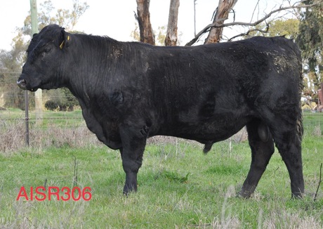 Airlie AISR306