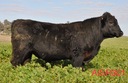 Airlie Aisr301
